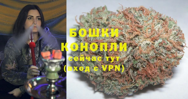 spice Гусев