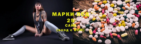 гашик Гусь-Хрустальный
