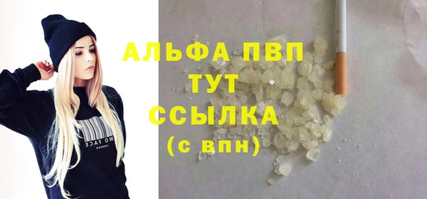 spice Гусев