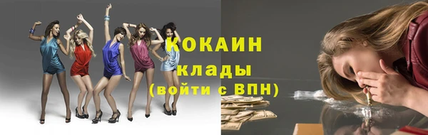 spice Гусев