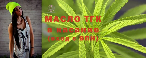 spice Гусев