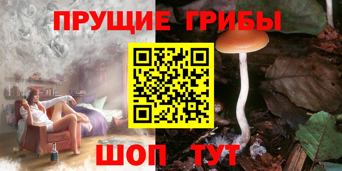 Галлюциногенные грибы прущие грибы Междуреченск