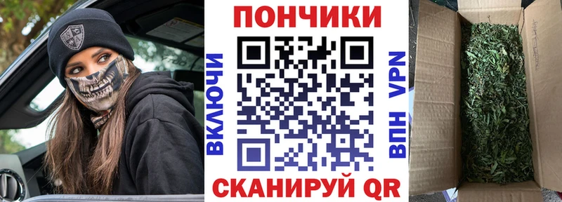 Каннабис конопля  Междуреченск 